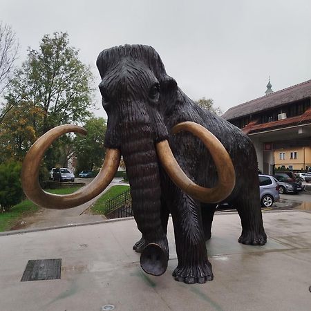 Apartma Mamut 1850 Kamnik Bagian luar foto